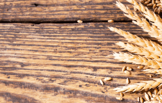 Spanish idiom: 'ir al grano' - Learn Spanish - Study Spanish - Spanish expressions - Easy Español