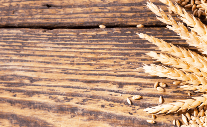 Spanish idiom: 'ir al grano' - Learn Spanish - Study Spanish - Spanish expressions - Easy Español