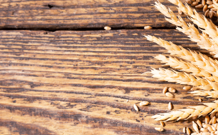 Spanish idiom: 'ir al grano' - Learn Spanish - Study Spanish - Spanish expressions - Easy Español