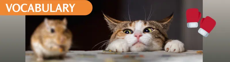 Saying of the day: Gato con guantes no caza ratones - Easy Español