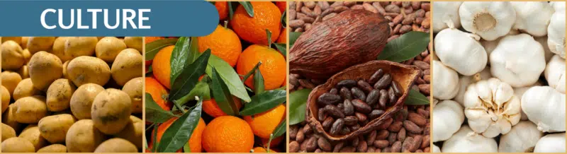 Tune in to our Spanish Podcast to be blown away by the ORIGIN of some of your favorite ingredients - Easy Español