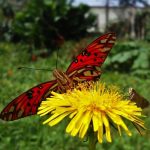 Profile picture of Wilson Yépez